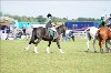 UKPA NC SAT_2508